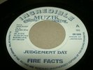 FIRE FACTS 7'' JUDGEMENT DAY JA KILLER ROOTS SHAKA MINT