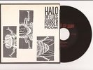 HALO OF FLIES Rubber Room 7