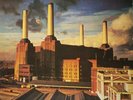 Pink Floyd ?– Animals LP  - UK first pressing