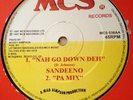 Sandeeno Nah Go Down Deh Killer Shaka Digi Roots 12