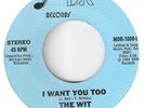 RARE UNKNOWN SWEET SOUL & FUNK BOOGIE  THE WIT   I WANT YOU TOO  &  CHANCES ARE