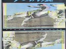 WIDESPREAD PANIC: Space Wrangler,  Landslide, LD-1016 NM/NM *w/ orig. insert*