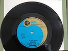 THE VELOURS - I'M GONNA CHANGE / DON'T PITY ME - 1967 - 7