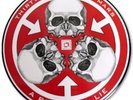 NEW 30 Seconds to Mars A Beautiful Lie LP Picture Disc pic FREE ship worldwide