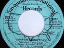 WILLIE JOHNSON: What Am I Going To Do 45 (very slight warp) rare Soul