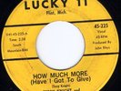 HEAR Terry Knight & The Pack-How Much More snarling 66 MI snotty punk put-down