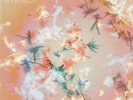 BIBIO Silver Wilkinson LP NEW VINYL Warp Boards Of Canada Four Tet Gold Panda
