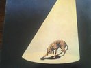LP 33 GIRI RINO GAETANO MIO FRATELLO E' FIGLIO UNICO DISCO VINILE RARO