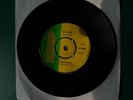 GREEN MANGO – RUN DOWN/BIRDS OF A FEATHER 1970 ACKEE EXC/N/M