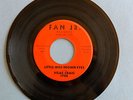 Wisconsin Teen Rocker 45 Vilas Craig Little Miss Brown Eyes / Poor Loser Fan Jr.