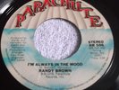 Randy Brown- I'm Always In the Mood- Parachute 70's hear