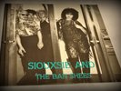 SIOUXSIE & BANSHEES 