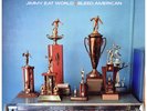 Jimmy Eat World - Bleed American [3 LP] (Limited to 1000, Gold, Silver and Blue)