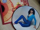 Kate Bush - Kick Inside Limited Edition Picture Disc LP - Very Rare