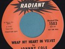 Rare JOHNNY COLE and THE REPTILES Doo Wop PROMO Wrap My Heart In Velvet RADIANT