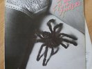 FLYIN‘ SPIDERZ first  LP rare Dutch punk from 1977 TITS, FILTH, HELMETTES, BGK