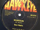 Desi Roots - Weedfields - killer 12