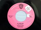 HEAR IT Doo-Wop 45 rpm The Del Rays 