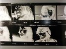 THE BEATLES Let It Be... Naked SEALED 180gram LP/Bonus 7