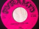 The Avlons 45 PYRAMID Mad Man's Fate/Come Back Little Girl RARE GARAGE LISTEN
