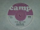 Willie Amos Hunt RARE PRIVATE BLUES 45 Would You Believe/ My Baby Wants to Dance