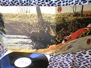 SPRING- SPRING -NEON -AGBS -0521 - RCA- DISCHI  VINILE 33GIRI 12