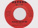DRAKE & THE EN- SOLIDS - PLEASE LEAVE ME / I'LL ALWAYS BE THERE - ALTEEN