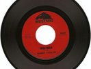 RARE SURF GUITAR INSTRUMENTAL ROCKER- RANDY FULLER- 