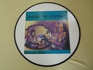 Rolling Stones Cocksucker Blues Picture  Lp