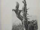 WHIPPING POST - AFTER AND REALLY - RARE SWISS PROG ROCK DLP - 1978