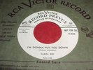 TAMPA RED I'm Gonna Put You Down 45 Rare & Killer Blues/RnB RCA Promo NM Listen
