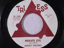 BUDDY WILKINS: Private Eye 45 (xol) rare Soul