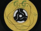 LOVING REGGAY (T.N.T Vocal CUT 