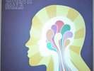 Zero 7 - When It Falls (Double LP - Near Mint)