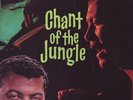 Augie Colon Chant of the Jungle Rare 1960 Liberty Stereo LP Near Mint Exotica
