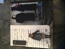 Brand New vinyl, The Devil and God are Raging Inside of Me