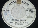 RAY CAMACHO & THE TEARDROPS 45RPM '68 COPPER STATE LONELY TOWN ARIZONA SOUL VG