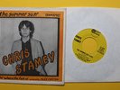 Chris Stamey Alex Chilton Private Label Picture Sleeve Power Pop 45rpm 1977