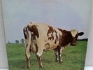 Pink Floyd - Atom Heart Mother LP - Harvest 1st Issue