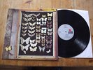 RARE DUTCH PROG FOLK LP OF MAYFLY, SHIP OUTSIDE EUROPE $ 25