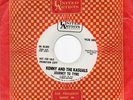 Kenny and the kasuals - Journey to tyme/ I'm gonna make it PS 7 / 45 USA Promo