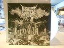 INSECT WARFARE World Extermination LP RSR/625 Thrashcore grindcore 1/100 CLEAR