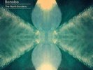 BONOBO The North Borders 7x 10