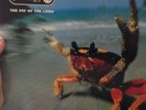 PRODIGY - The Fat Of The Land   2 x VINYL LP