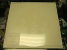 Kings of Leon -Youth & Young Manhood - 2 LP - 180g Vinyl Plus Poster - SEALED