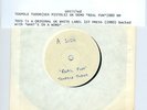 TENPOLE TUDOR real fun UK 1980 7
