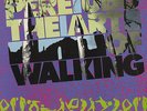 PERE UBU - The Art Of Walking - Original 1980 UK Rough Trade 11-track vinyl LP