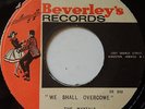 THE MAYTALS / WE SHALL OVERCOME / LISTEN
