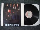 Teen Cats - Teddy Bop LP - Rockabilly Vincent Teddyboy Cavan Revival Saucers CSA