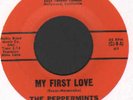 NORTHERN SOUL GIRL GROUP DOO WOP THE PEPPERMINTS 